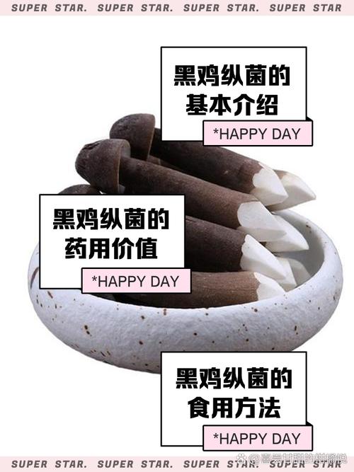 鸡用益生菌价格究竟是多少？-图1