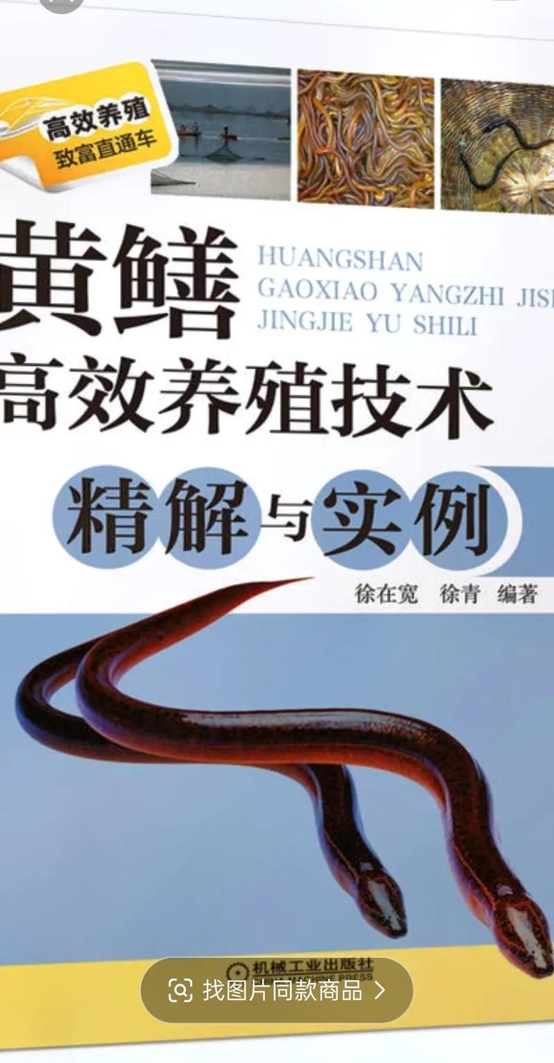 湖北黄鳝养殖技术培训如何快速掌握核心技巧？-图1