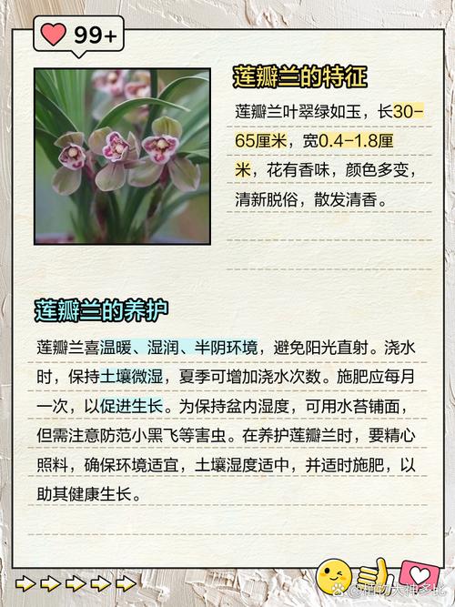 兰草品种多，栽培技术有何讲究？-图1