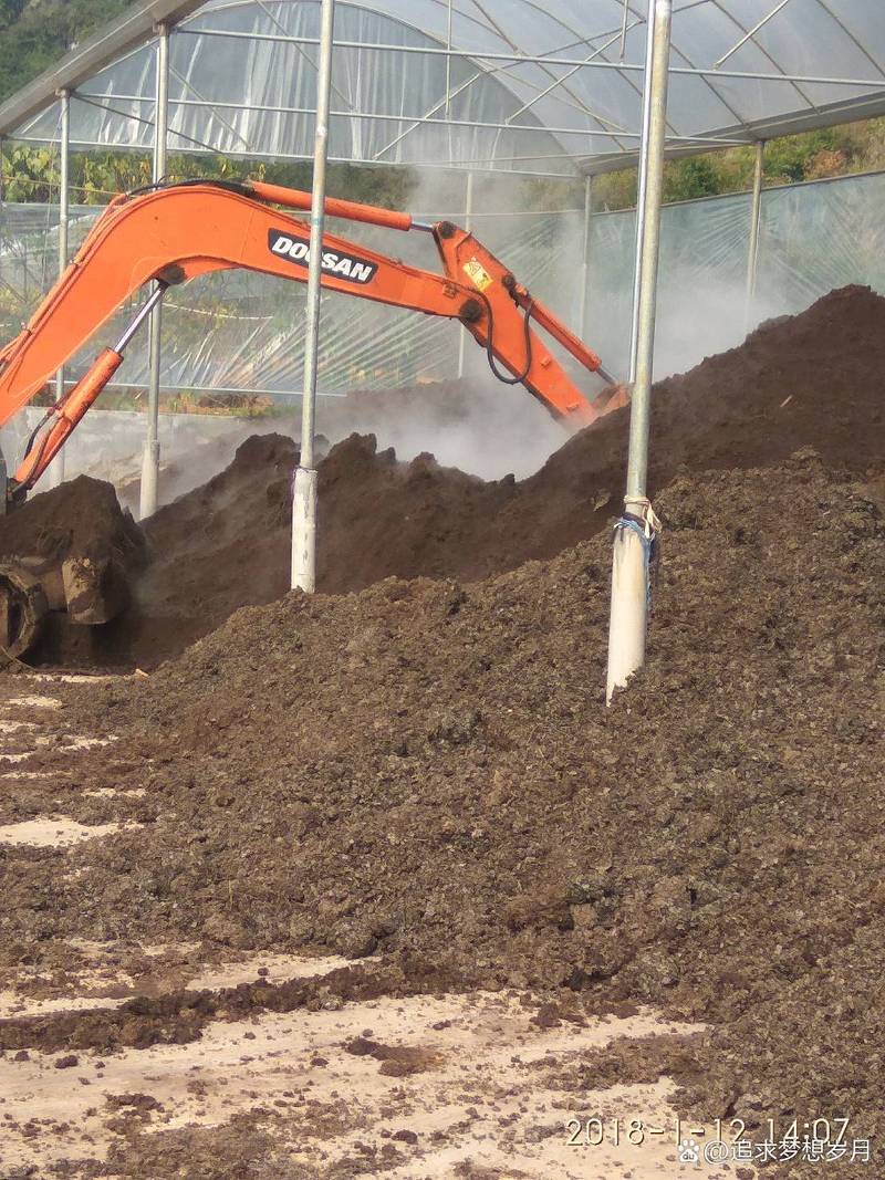 鸡粪发酵养猪技术视频-图1