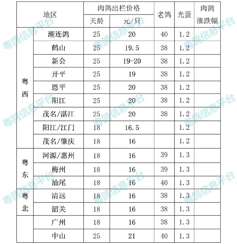 今日广西肉鸽价格行情如何？-图1