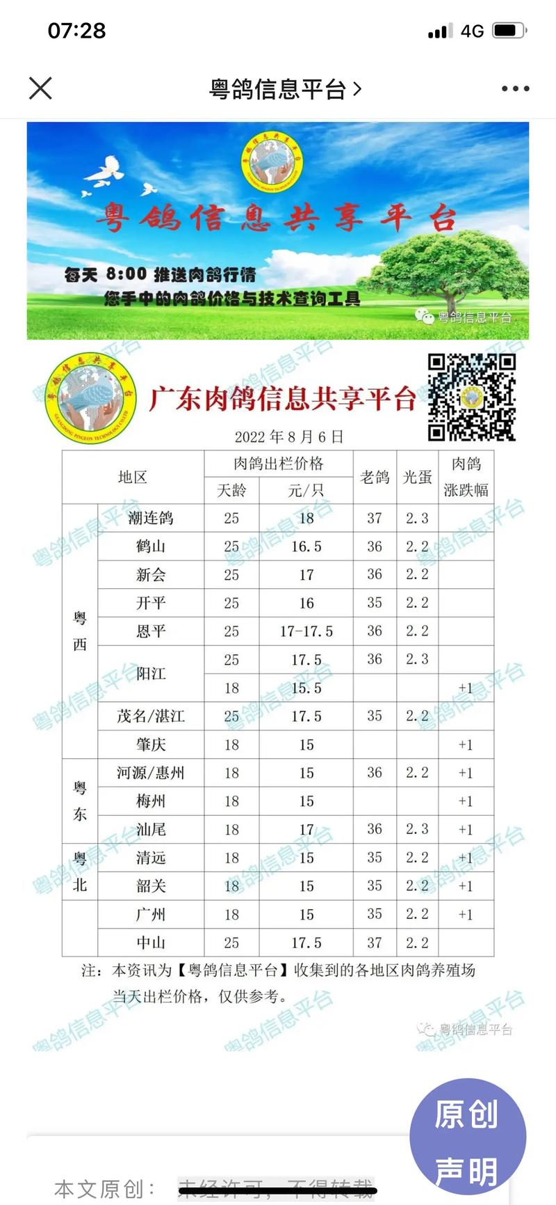 今日广西肉鸽价格行情如何？-图2