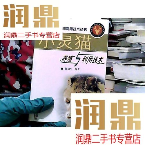 小灵猫养殖技术如何高效利用？-图1