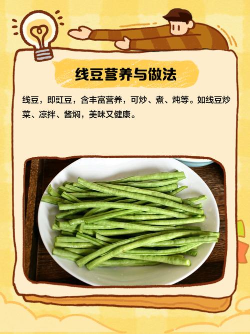 线豆种植视频，关键技术有哪些？-图1