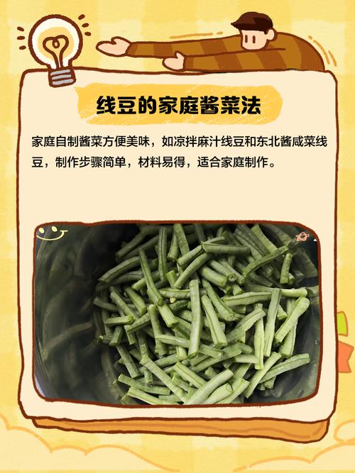 线豆种植视频，关键技术有哪些？-图2