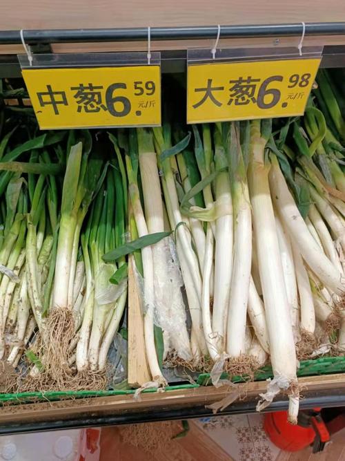 近几年大葱价格走势如何？-图3