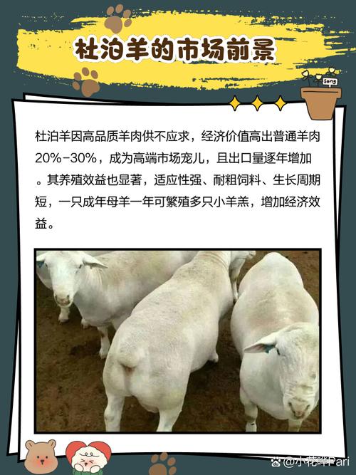 湖羊种羊价格多少？影响因素有哪些？-图3