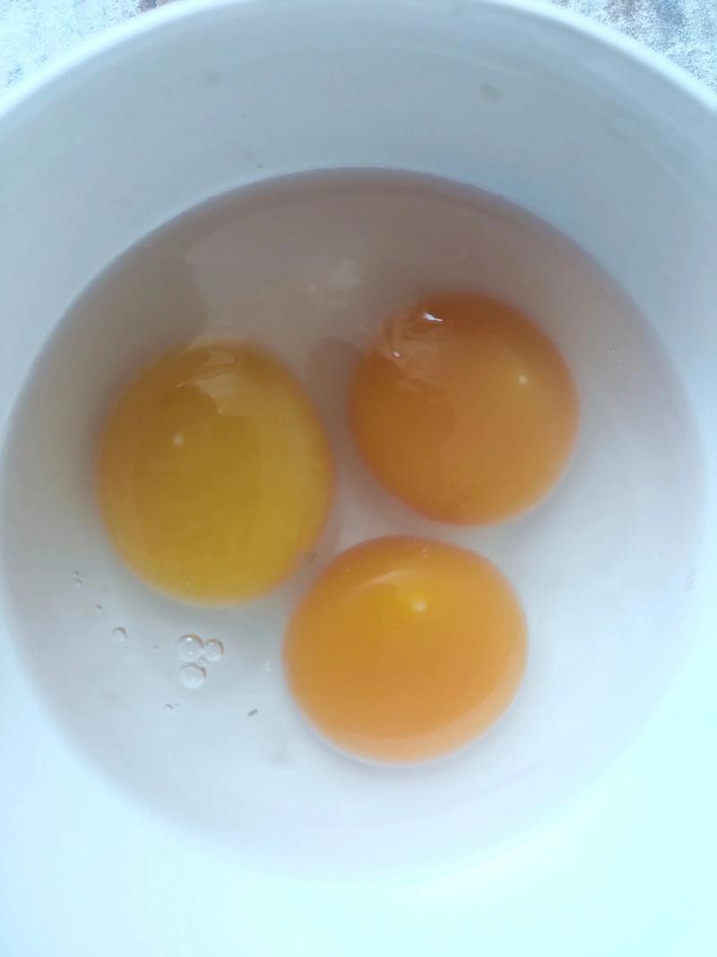 非洲雁养殖技术难点与要求有哪些？-图3