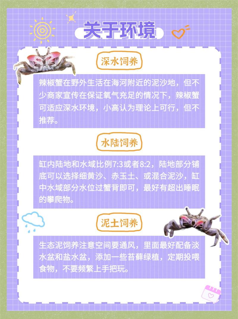 螃蟹养殖技术方法有哪些关键要点？-图1