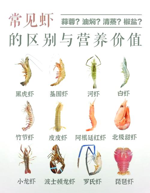 大龙虾有哪些常见品种？-图1