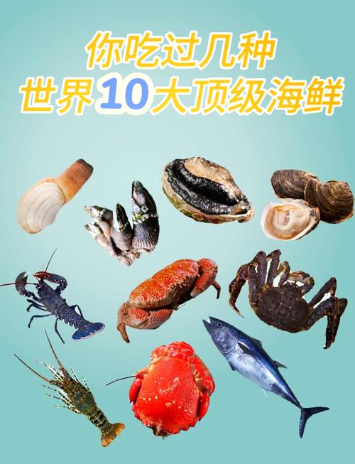 大龙虾有哪些常见品种？-图3