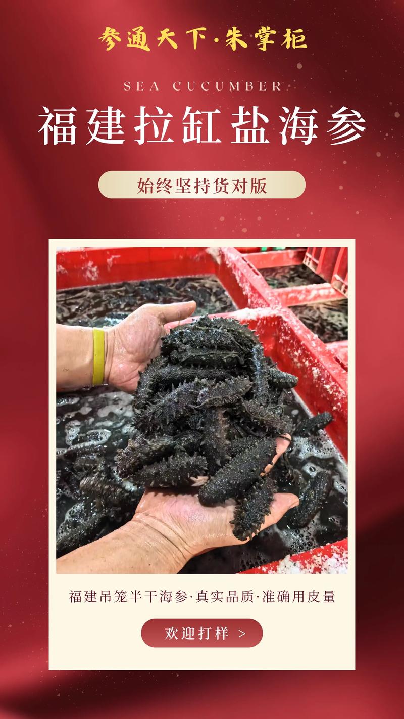 福建海参养殖技术培训学什么？-图3