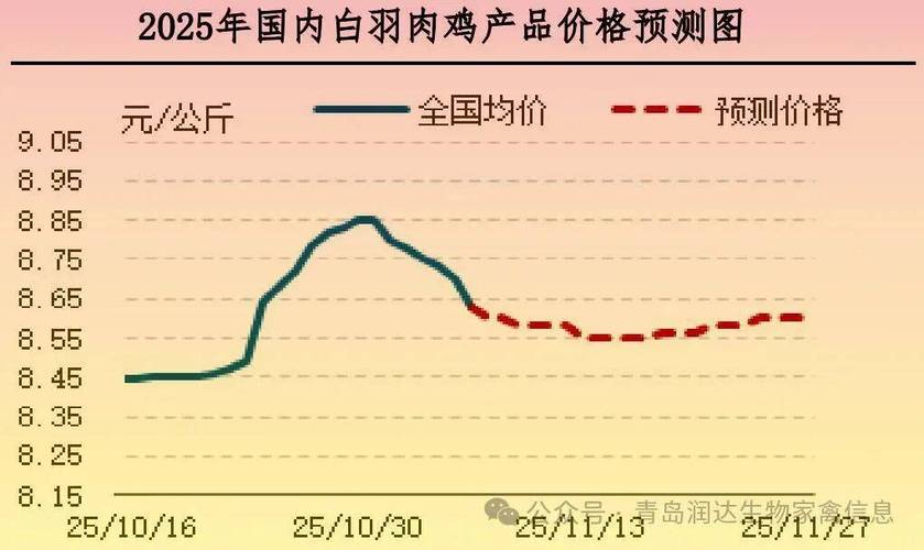 吉林今日毛鸡出栏价格-图2