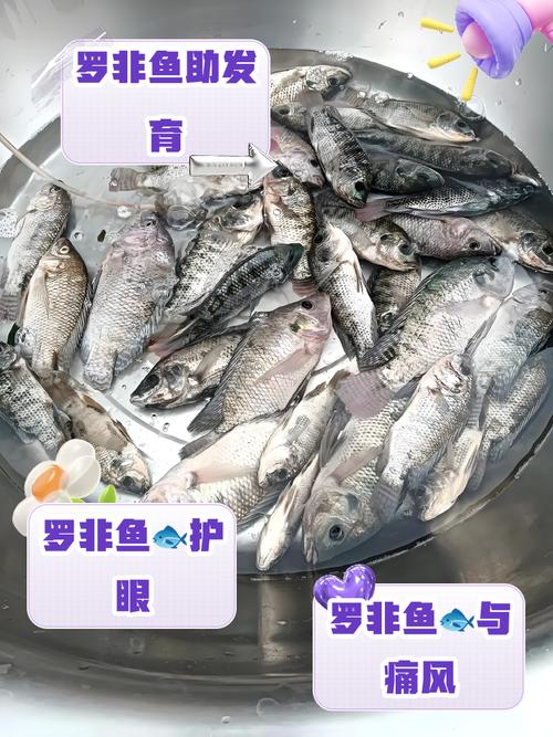 罗非鱼养殖技术怎么致富？-图3