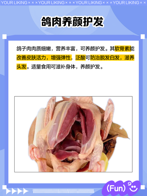 什么品种鸽子营养价值最高？-图3