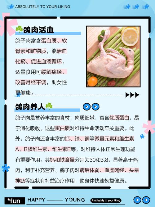 什么品种鸽子营养价值最高？-图2