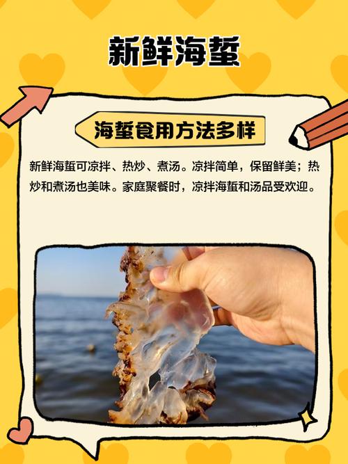 海蜇养殖常见问题有哪些？-图2