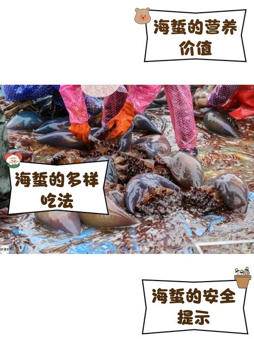 海蜇养殖常见问题有哪些？-图1