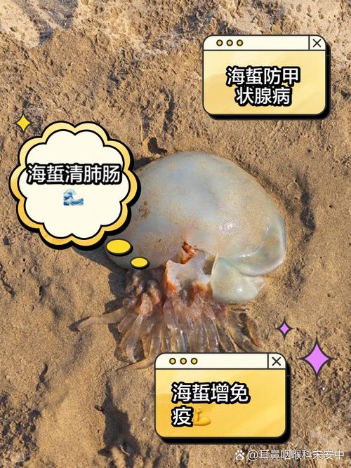 海蜇养殖常见问题有哪些？-图3