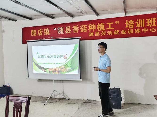 蘑菇大棚技术培训学什么？-图1