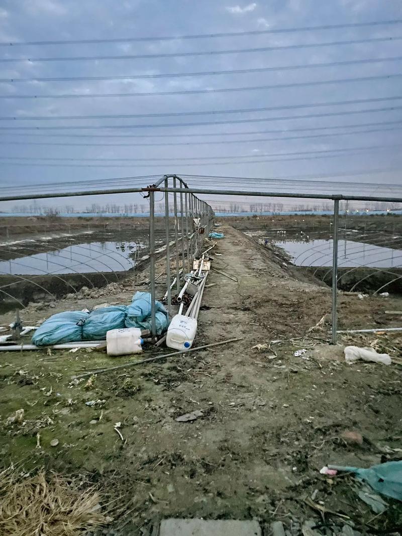 大虾养殖技术指导室外-图2