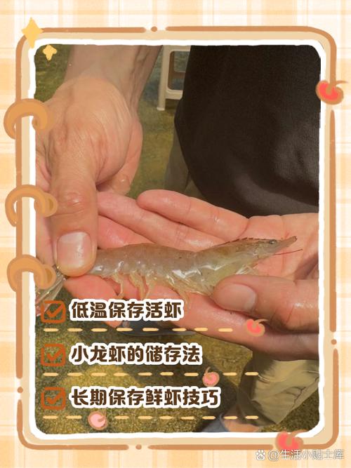 河里小虾怎么养才存活？-图1