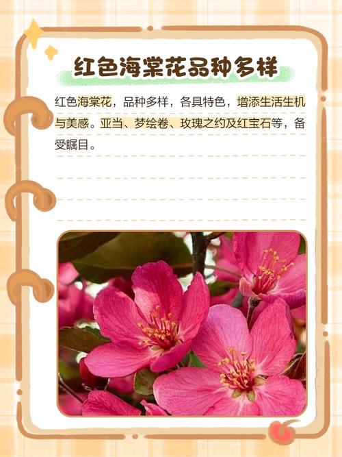 大红色海棠是什么品种-图1