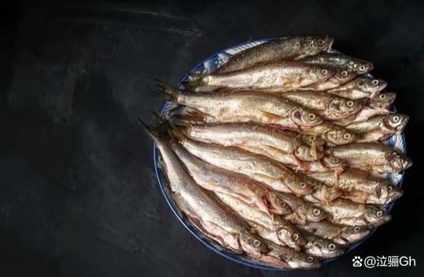 白条鱼养殖环境和技术关键点是什么？-图3