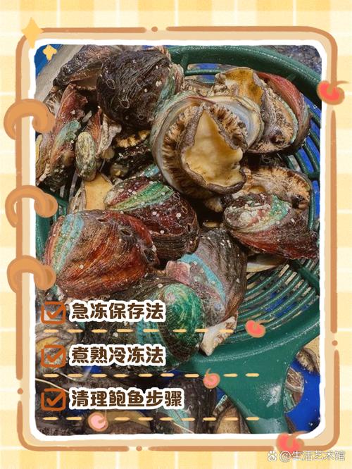 杂色鲍沉箱养殖技术关键点有哪些？-图1