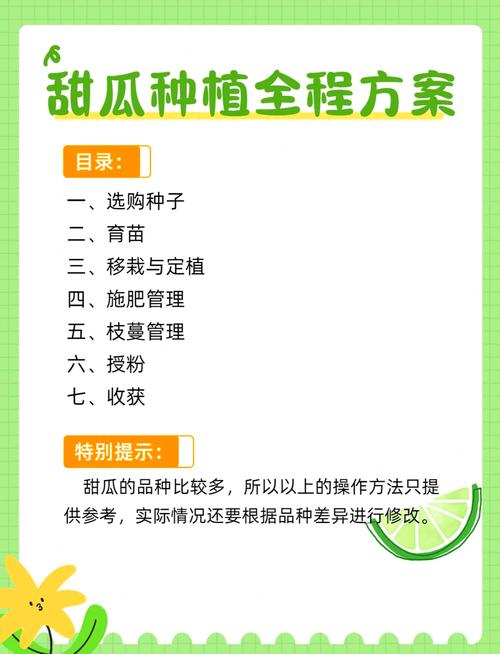 南方甜瓜大棚栽培技术要点有哪些？-图2