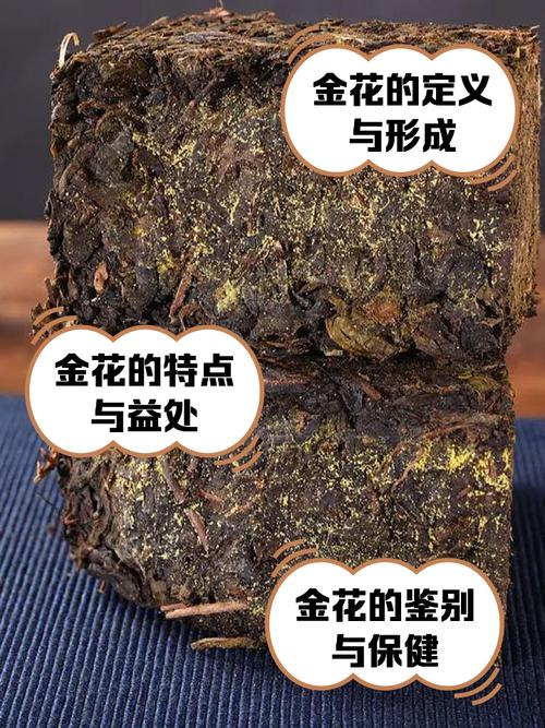 黑茶有哪些品种？金花茶属于黑茶吗？-图1