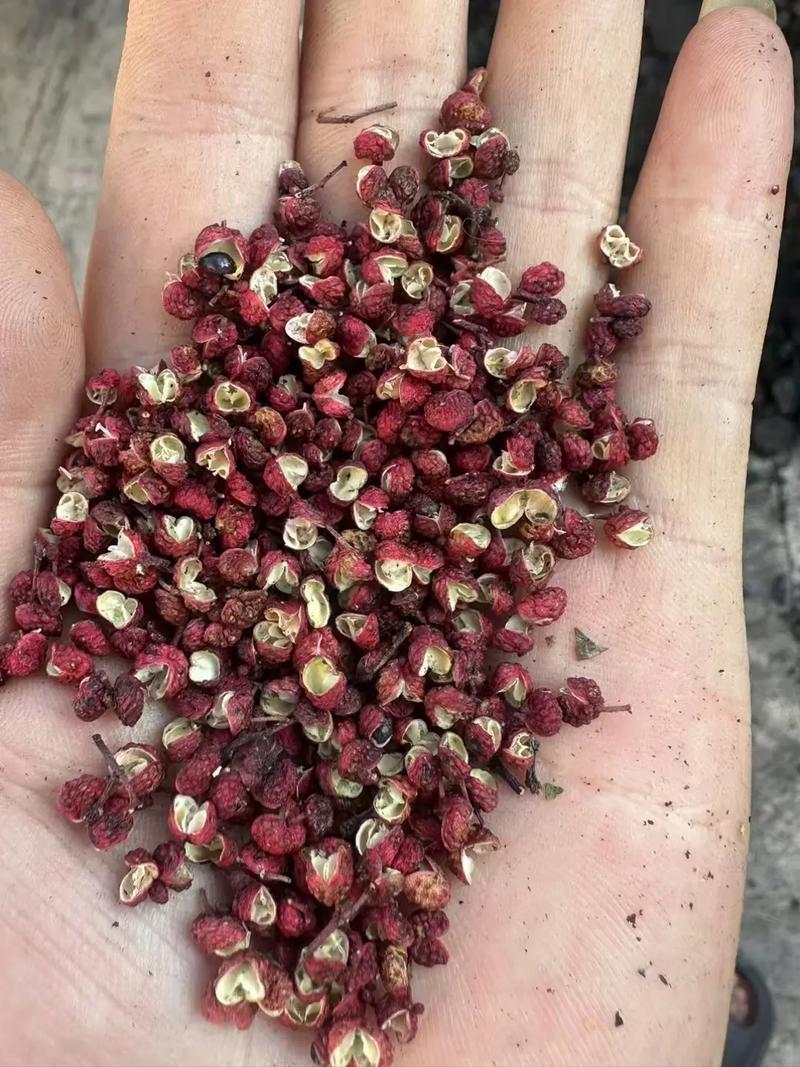 花椒价格近期走势如何？-图3