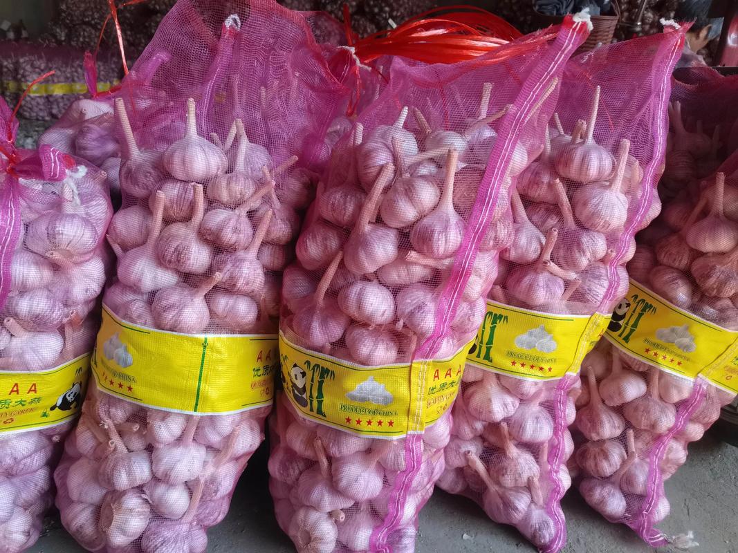 中牟晚蒜价格最新行情-图3