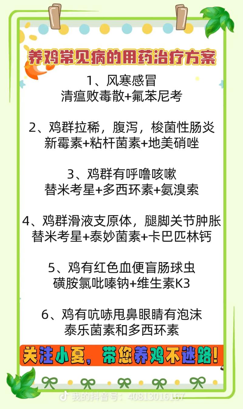 土鸡养鸡技术知识大全-图1