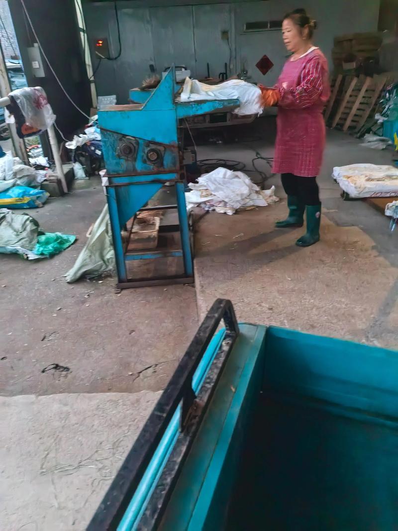 池养毛蟹如何实现卓越养殖技术？-图1