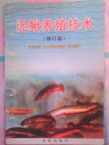 泥鳅养殖技术湖北省内-图1