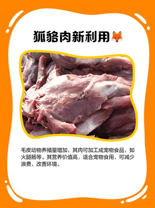 貉子的养殖技术与利润-图2