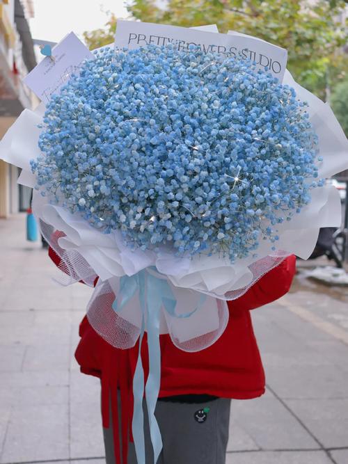 满天星什么品种是蓝色-图2