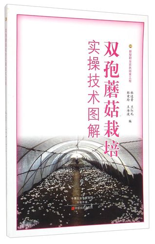 稻草栽培双孢蘑菇技术-图2