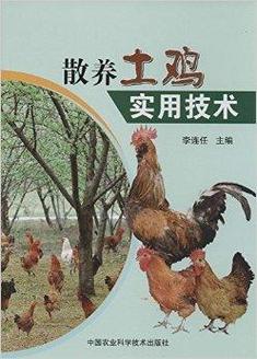散养鸡系列技术三，核心要点是什么？-图3