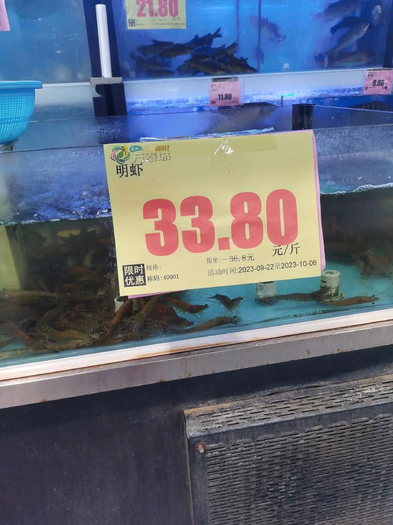 温州菜市场 虾 价格-图2