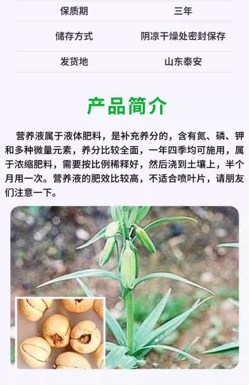 贝母的种植方法和技术-图1