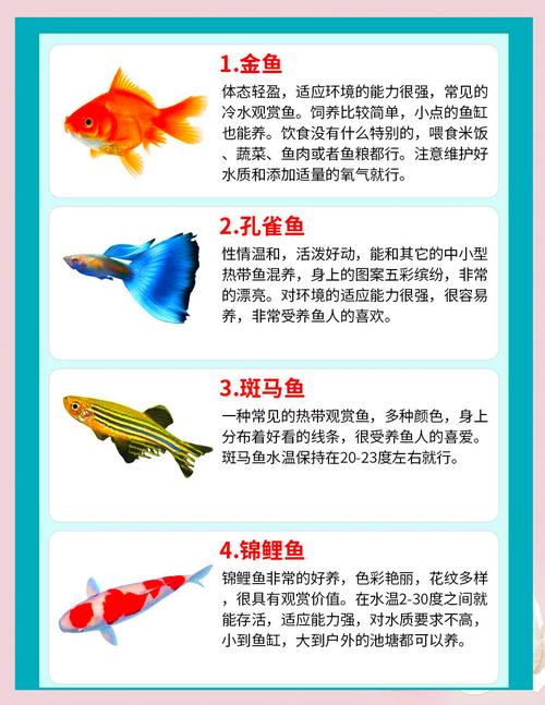 哪些淡水观赏鱼适合家庭养殖？-图1