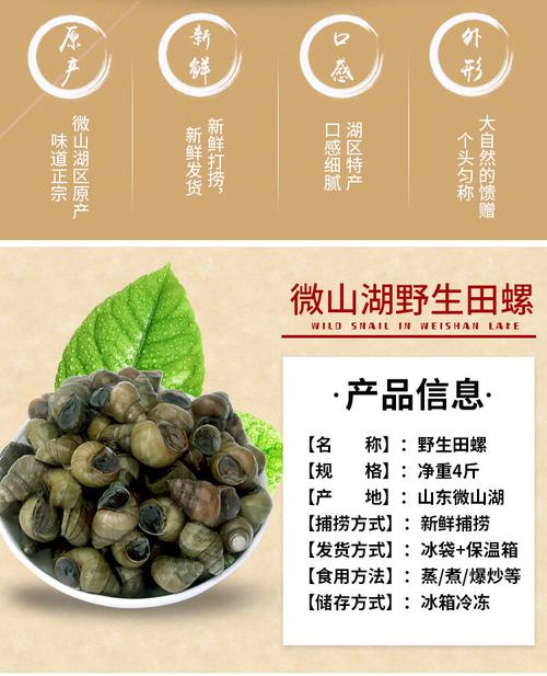 田螺和螺蛳,哪个价格更高?-图2 田螺和螺蛳,哪个价格更高?-图2