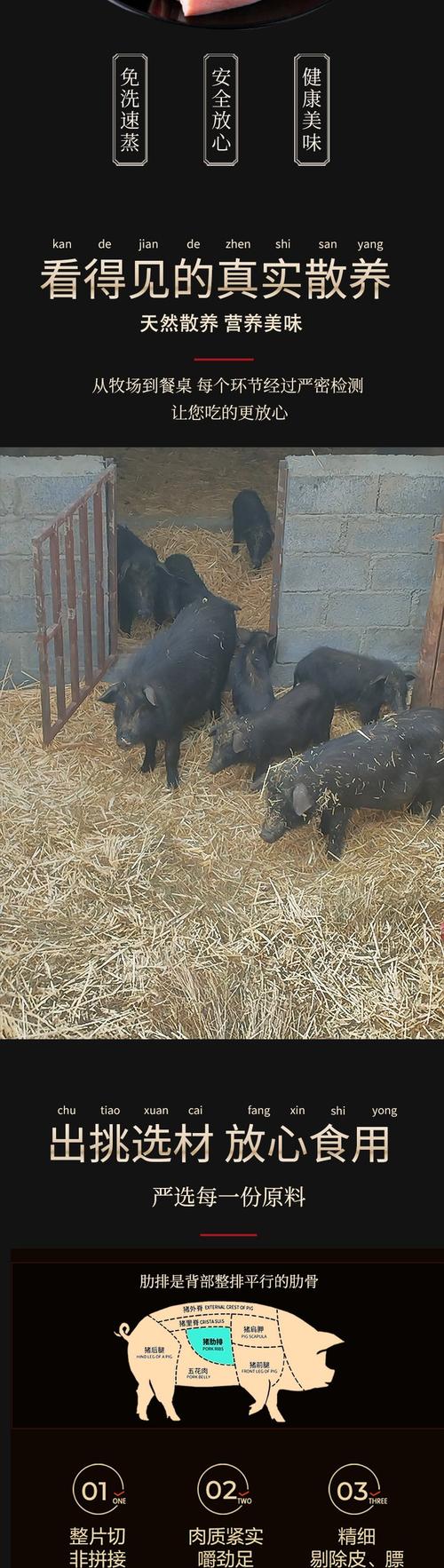 黑香猪养殖什么品种好-图2