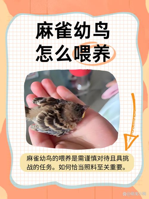 农广天地麻雀养殖技术-图2