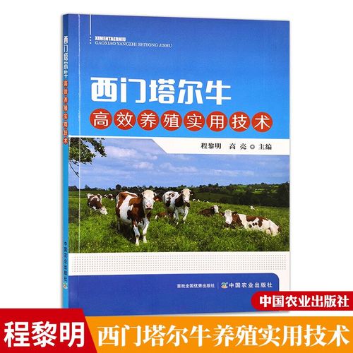 西门塔耳肉牛养殖技术要点有哪些？-图2