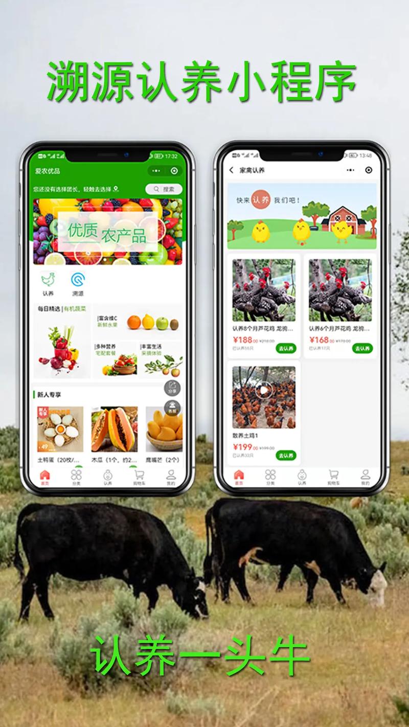 养羊技术有哪些实用APP推荐？-图3