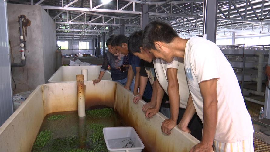 高产黄鳝养殖技术培训-图3