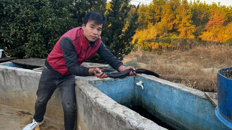 野外养蛇技术视频全集，新手能学会吗？-图3